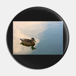 Morning Stillness - Female Mallard Duck Swimming with Reflected Clouds Pin