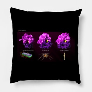 Ribosomes Pillow