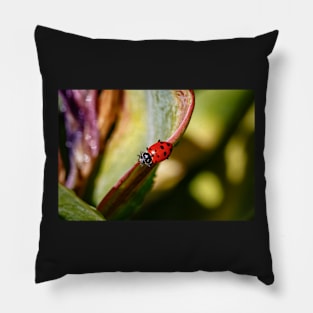 Ladybug on Leaf Pillow