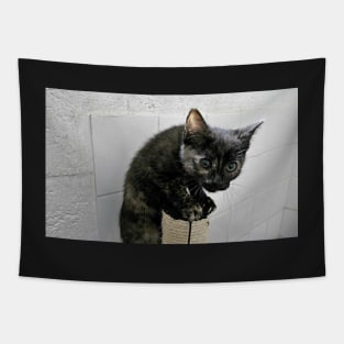 They Call Me Naughty Tortie Tapestry