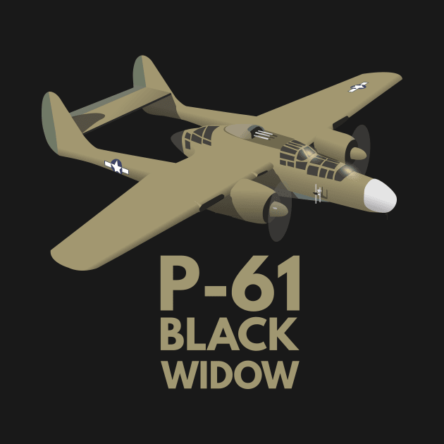 P-61 Black Widow American WW2 Airplane by NorseTech