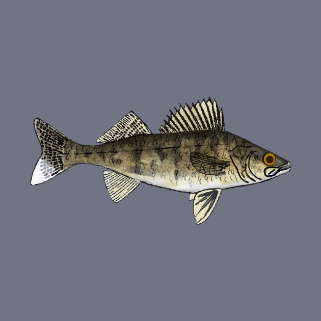 Walleye by FishFolkArt