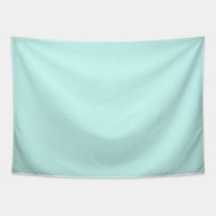 Pastel Aqua Blue Plain Solid Color Tapestry