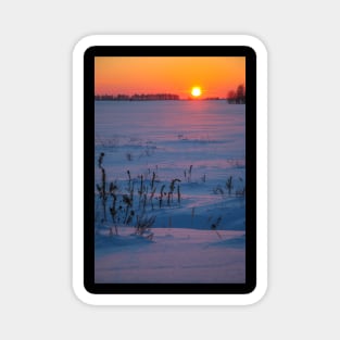 Sunset winter landscape with snow-covered road in violet and pink colors Magnet