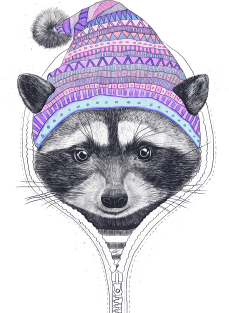 Raccoon in a hood Magnet
