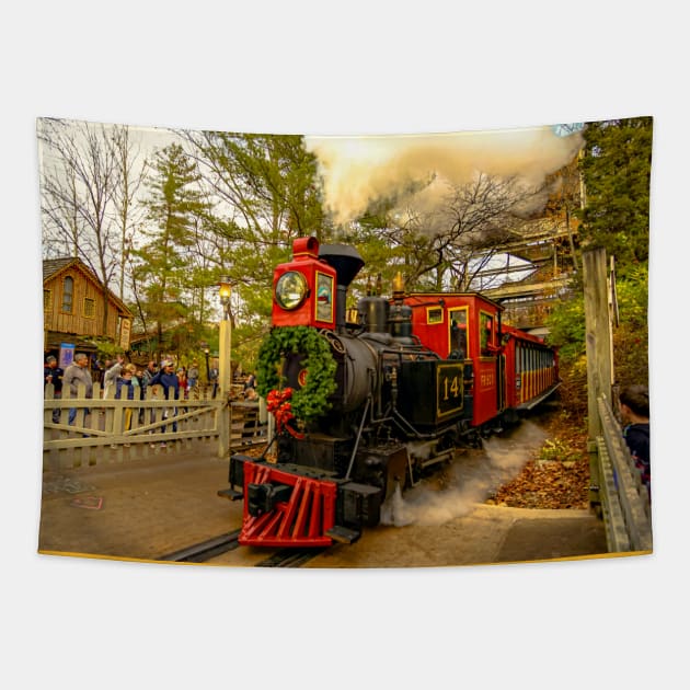 Frisco Silver Dollar Line Tapestry by Haggard 1 Photography 
