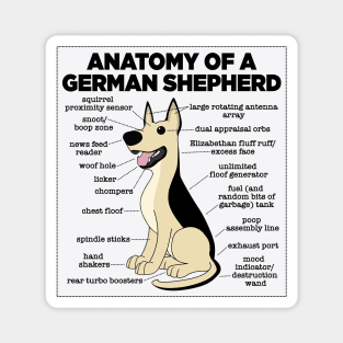 Anatomy Of A German Shepherd Magnet
