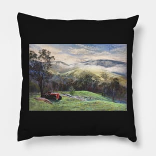 'Admiring the View' Pillow