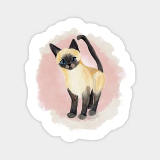 Saucy Siamese Kitten in Pink Magnet