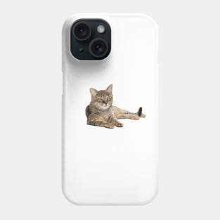 Katze Phone Case