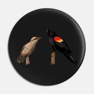 Red-winged Blackbird Pin