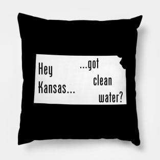 Kansas - Got Clean Water? Pillow