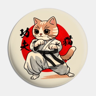 Kung fu kitty Pin