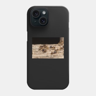 Unique and organic photo of a colony of conehead termites Phone Case