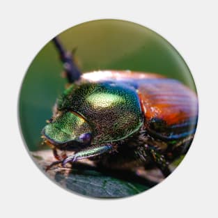 Beetle Yoga. Japanese Scarab Beetle Macro Photograph Pin