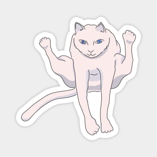 Acrobatically jumping white athlete cat Magnet