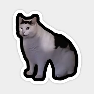 Huh Cat Meme Magnet