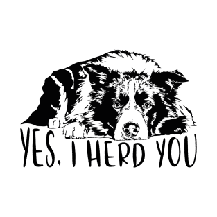 Border Collie I herd you herding dog saying T-Shirt