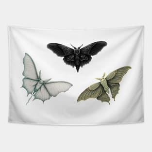 Gothic Moth Pack Tapestry