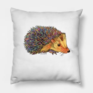 Rainbow Hedgehog-dark Pillow