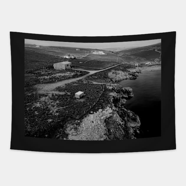 Fetlar, Shetland Islands (coastline) Tapestry by Avalinart