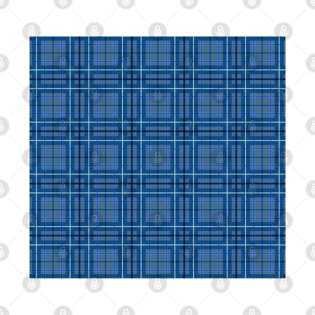 Blue and White Plaid Pattern by NaturalDesign