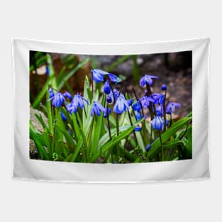 Scilla Spring Flowers Tapestry