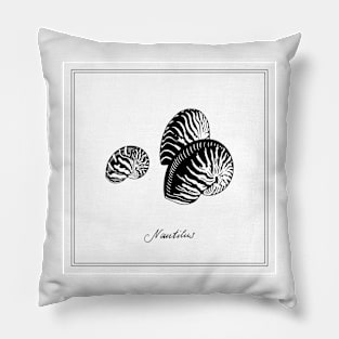 Nautilus Tiger Seashells. Black and white illustration. Pillow