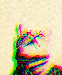 CMYK Cat Magnet