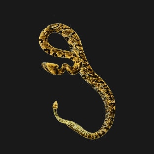 serpent,cobra,reptile,viper,venom,lizard,rattlesnake,king cobra,dragon,hydra,poison,venomous,plumber's snake,pythonidae,pythons,auger,python,squamata,serpentine,worm,big,ophidian,rattlesnakes,medusa,snakebite T-Shirt