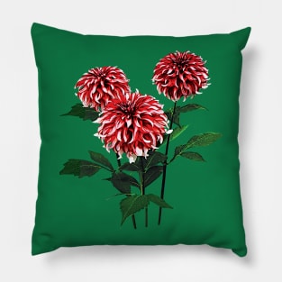 Dahlia Santa Claus Pillow