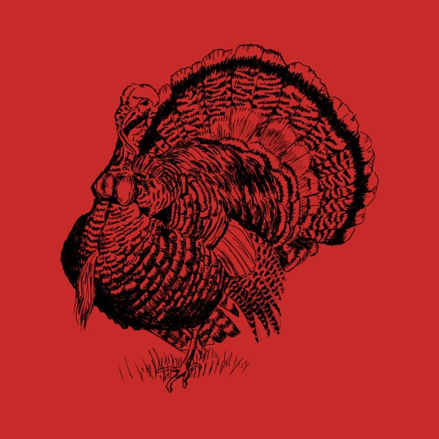 Wild Turkey Print by rachelsfinelines