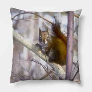 Red squirrel. "You looking at me." Pillow