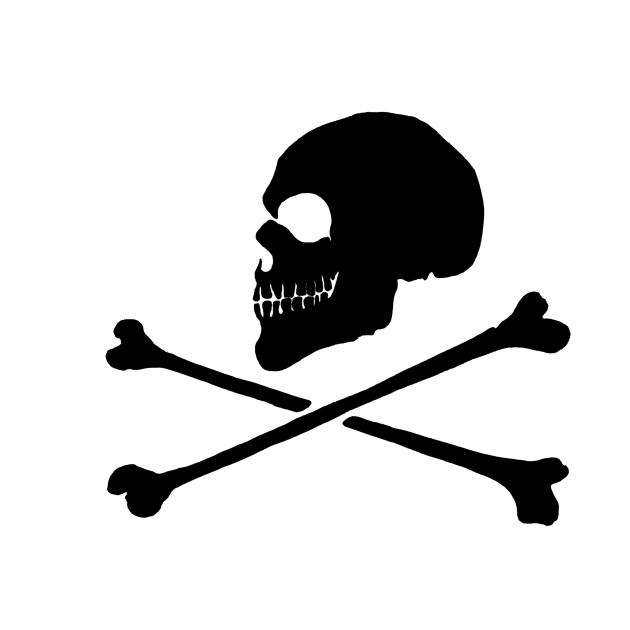 skull silhouette by NITO