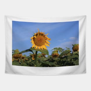 Colorful Kansas Sunflower in a field Tapestry