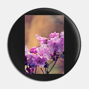 Raindrops on a Pink Rhododendron Pin