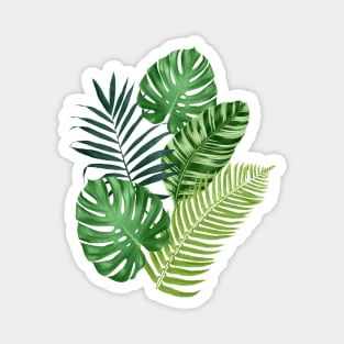 Tropical leaves Magnet