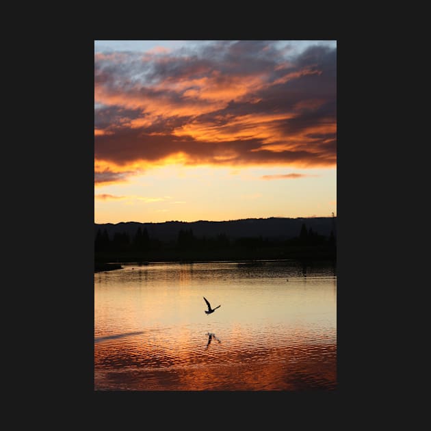 Sunday's almost gone... Shoreline Park, Mountain View, California by IgorPozdnyakov