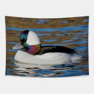 Male Bufflehead Duck at the Pond Tapestry