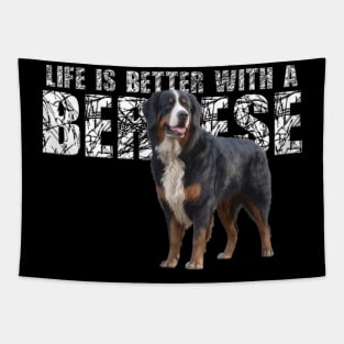 Bernese mountain dog Tapestry