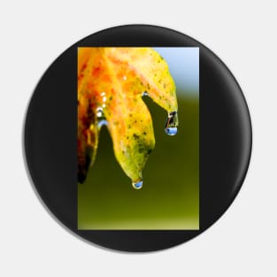 Droplets on Autumn Maple Leaf Pin