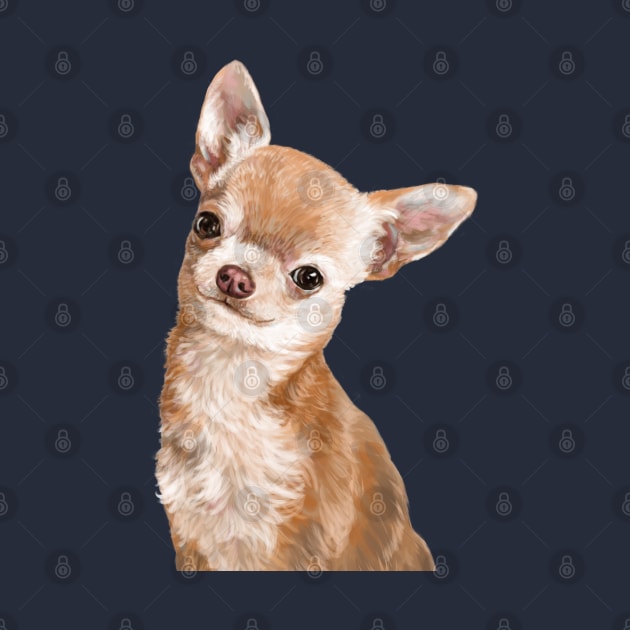 Chihuahua by bignosework