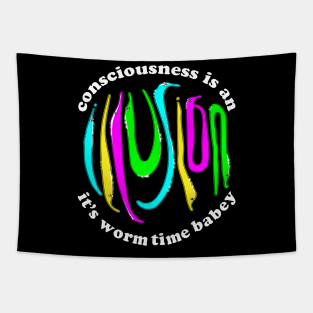 Consciousness is an Illusion Fuzzy Worm on a String Meme Tapestry