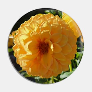 Golden Dahlias Pin