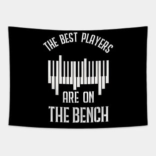 The Best Players Are On The Bench Funny Pianist Tapestry