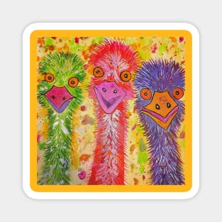 Three Colourful Emus Magnet