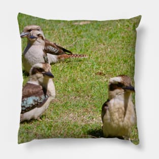 The Four Kookaburras! Pillow