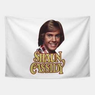 Shaun Cassidy 70s Style Tapestry