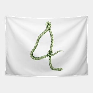 4 - Western hognose snake Tapestry