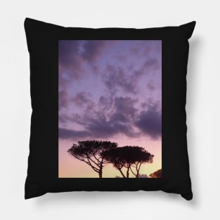 Maritime Pines with purple sunset2 Pillow